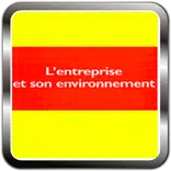 L'entreprise et son environnement