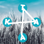 ”Garis Kata: Susun Kata