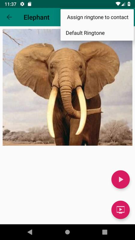 Animal Sound Ringtone Free Download Animal Sound Ringtone Free Download