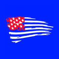 American Browser