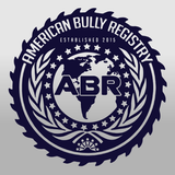 ABR Mobile أيقونة