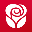 American Greetings Ecards APK