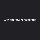 American Wings icône
