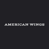 American Wings icon