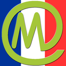 aMETROid-TOULOUSE APK