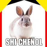 WAStickerApps Memes Momazos Megapack para whatssp