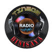 TINGOG BINISAYA RADIO