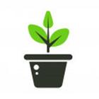 Cultivate Vegetables & Fruits icon