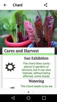 Cultivate Vegetables & Fruits Ekran Görüntüsü 2