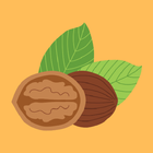 Nuts, Dried Fruits and Seeds ไอคอน