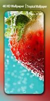Tropical | Summer Wallpaper Background 4K تصوير الشاشة 3