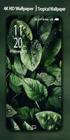 Tropical | Summer Wallpaper Background 4K تصوير الشاشة 1