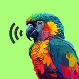 Bunyi Haiwan & Nada Dering APK