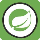 ikon Spring Framework Pocket
