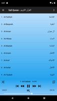 Abu Bakr Shatri Quran offline постер