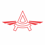 Amigo Wings Activity