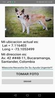 Amigos Animales imagem de tela 3