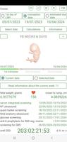 Pregnancy Due Date Calculator پوسٹر