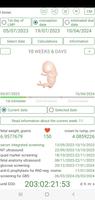 Pregnancy Due Date Calculator 海报