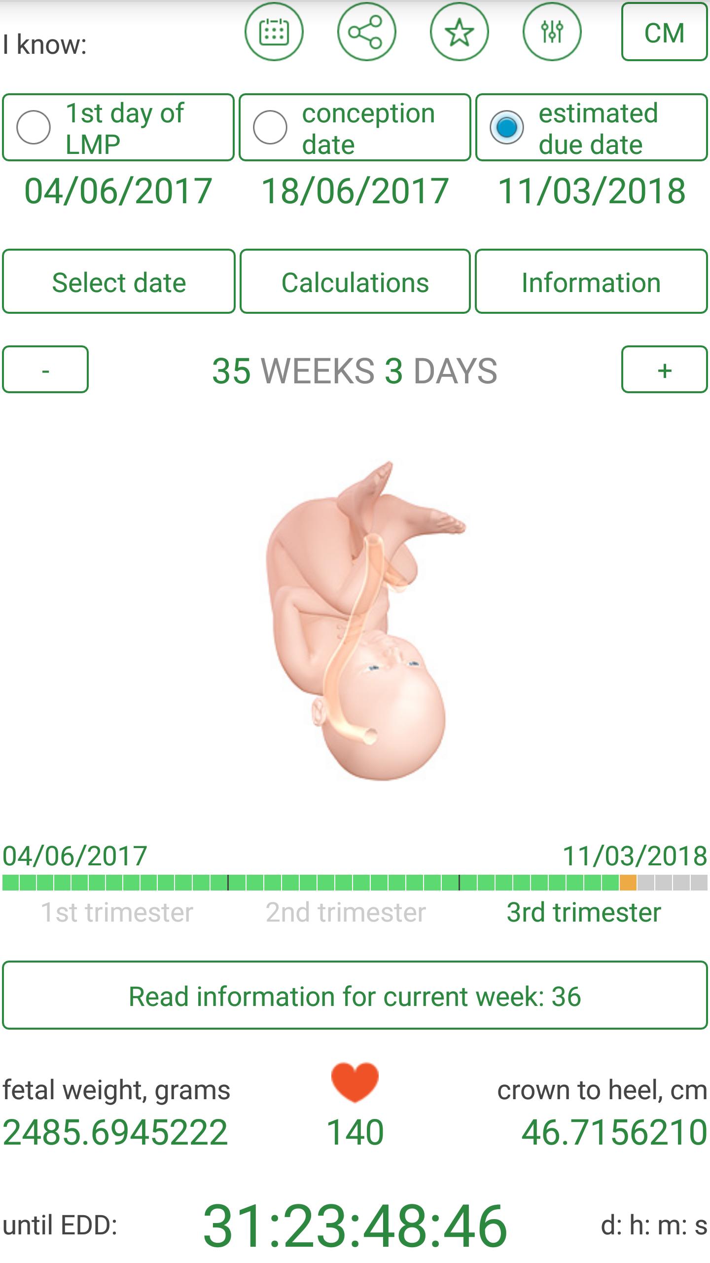 Предполагаемая дата зачатия