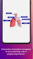 3 Schermata Anatomy AR