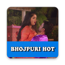 Bhojpuri Video Hot APK