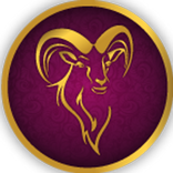 Susu Kambing NewGoat