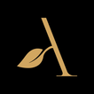 Amira Beauty Suite