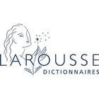 ikon Larousse Dictionnaire de Français