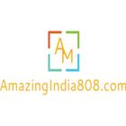 AmazingIndia808 icône