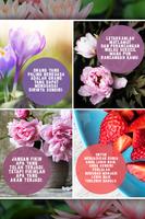 Gambar Kata Motivasi Kehidupan Screenshot 1