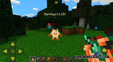 PokeCraft MOD Affiche