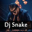 Dj Snake Music - All Songs 2019