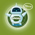 AMORA RSI Arafah Jambi