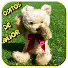 ositos con frases de amor con ositos cariñositos آئیکن