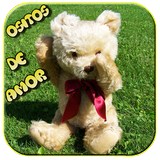 ositos con frases de amor con ositos cariñositos иконка