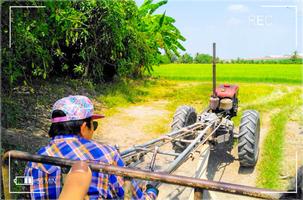 บ้านศาลาดิน स्क्रीनशॉट 3