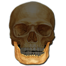 Anatomy Quiz APK