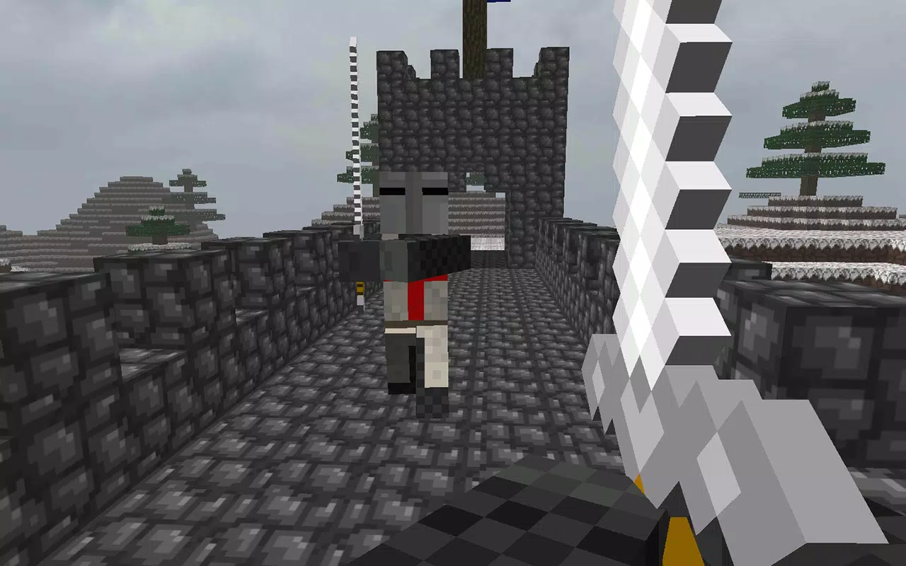 Block Warfare: Medieval Combat