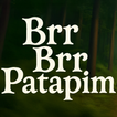 Brr Brr Patapim