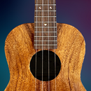Ukulele Simulator Play & Learn APK