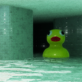 The Wetrooms: Liminal Pools