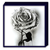 Flower آئیکن