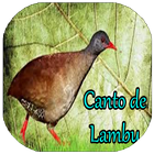Canto de Lambu Offline आइकन