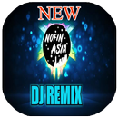 DJ Nofin Asia Remix Offline 2021 APK