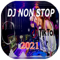 DJ TikTok NonStop Offline 2021