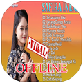 Lagu Safira Inema Offline 2021