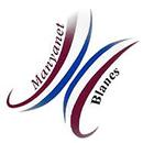 AMPA MANYANET BLANES APK