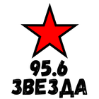 Радио 95.6 FM Россия ikon