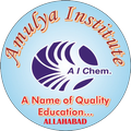 Amulya Institute
